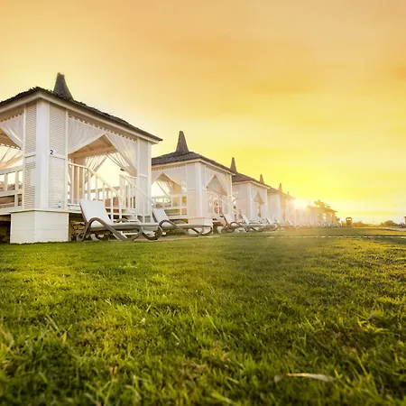 Akra Sorgun Tui Blue Sensatori シダ